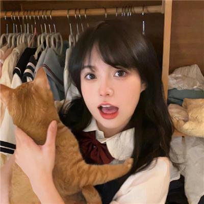 神鹰之拳