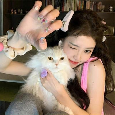 完美犯罪