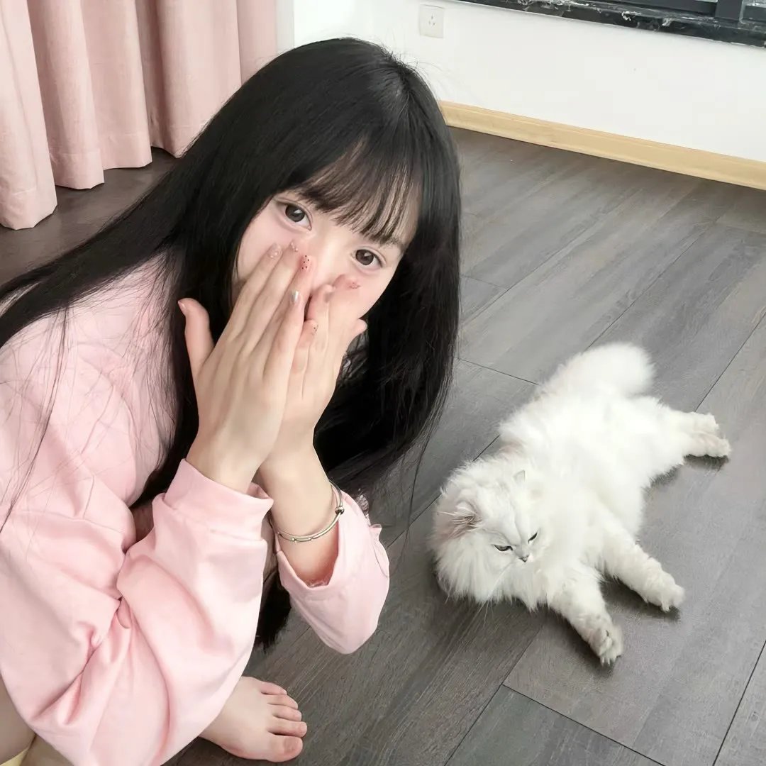 北极求生任务